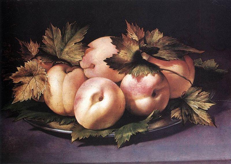 FIGINO, Giovanni Ambrogio Metal Plate with Peaches and Vine Leaves oil painting picture
